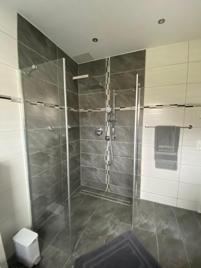 2 Schweizer Appartement Geisingen